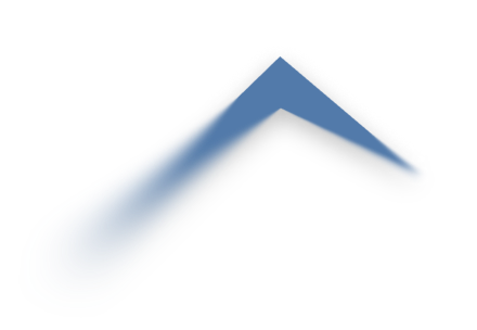 Everest Group PEAK Matrix® 2026